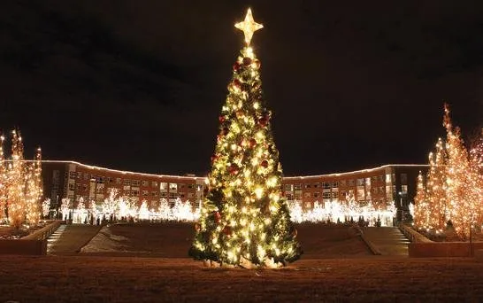 Professional lawn care service in Denver, CO - SavaTree