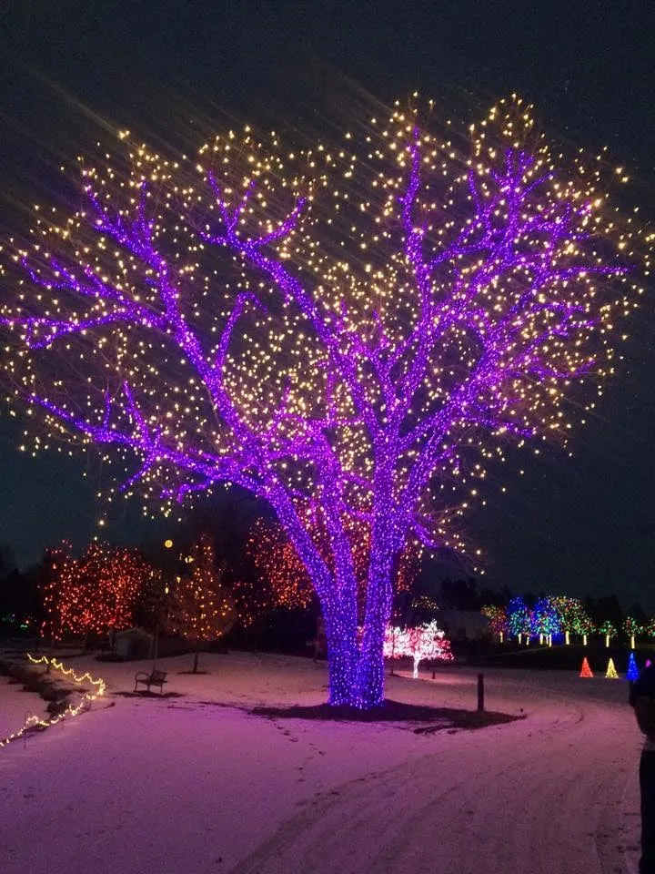 Expert lawn mowing service experts serving Denver, CO - SavaTree