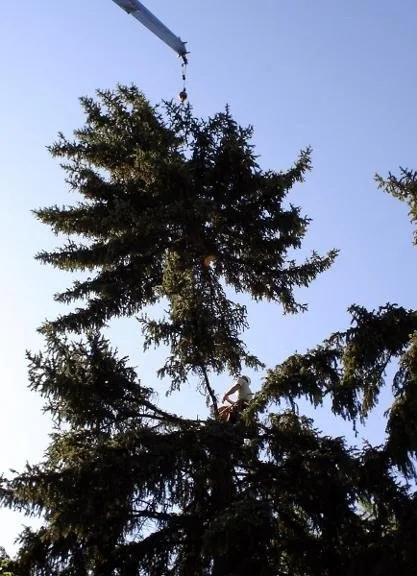 Top-rated garden landscaping experts serving Denver, CO - SavaTree