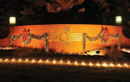 Top-rated yard cleanup service in Denver, CO - SavaTree