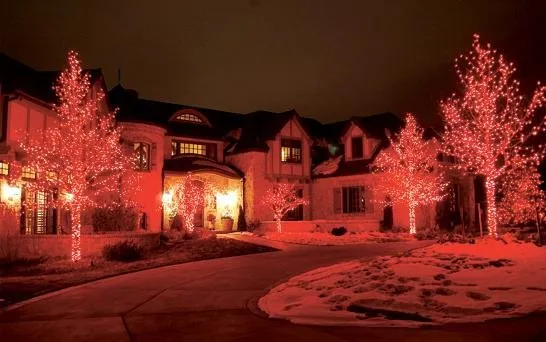 Top-rated residential landscaping for residential properties across Denver, CO - SavaTree