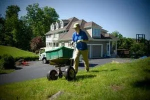 Reliable landscape installation in Denver, CO - SavaTree
