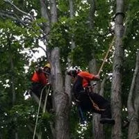 Expert landscape installation in Fort Collins, CO - SavATree