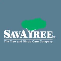 Local lawn mowing service experts serving Fort Collins, CO - SavATree