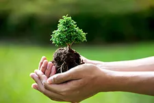 Expert lawn care service in Fort Collins, CO - SavATree