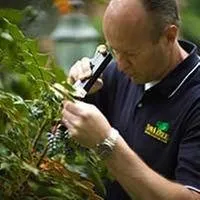 Reliable yard cleanup service near you across Fort Collins, CO - SavATree