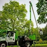 Reliable landscape installation in Fort Collins, CO - SavATree