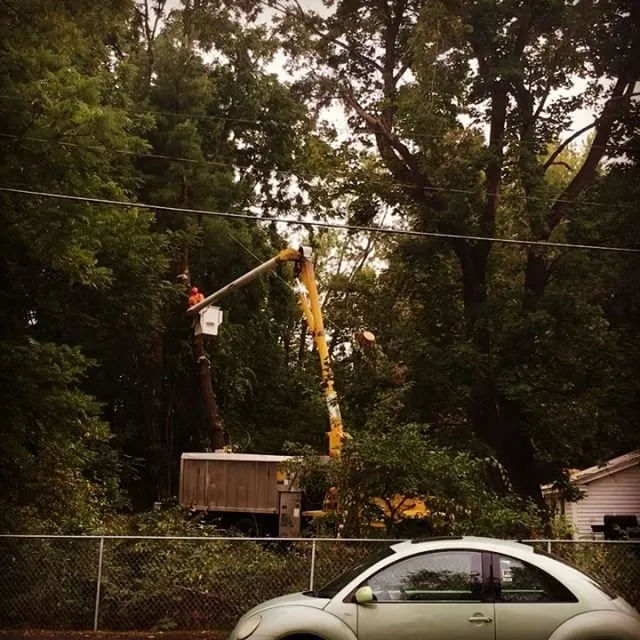 Trusted lawn care service in Hadley, MA - SavATree Hadley