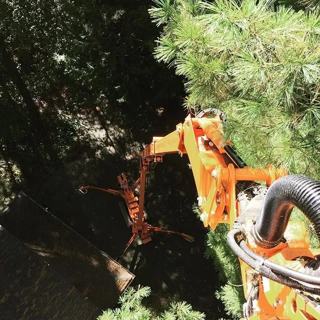 Local landscape design experts serving Hadley, MA - SavATree Hadley