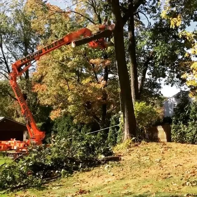 Reliable lawn care service in Hadley, MA - SavATree Hadley