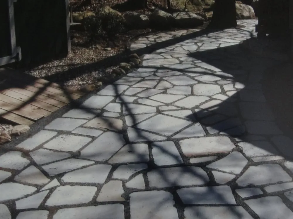 Trusted yard cleanup service in Hadley, MA by SavATree Hadley