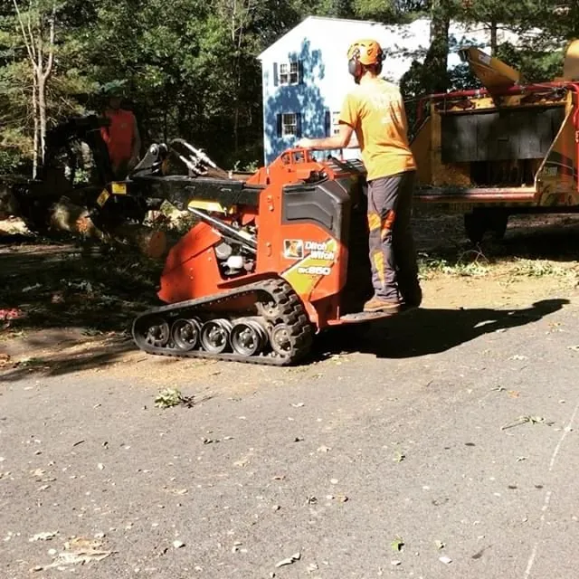 Local outdoor landscaping in Hadley, MA - SavATree Hadley