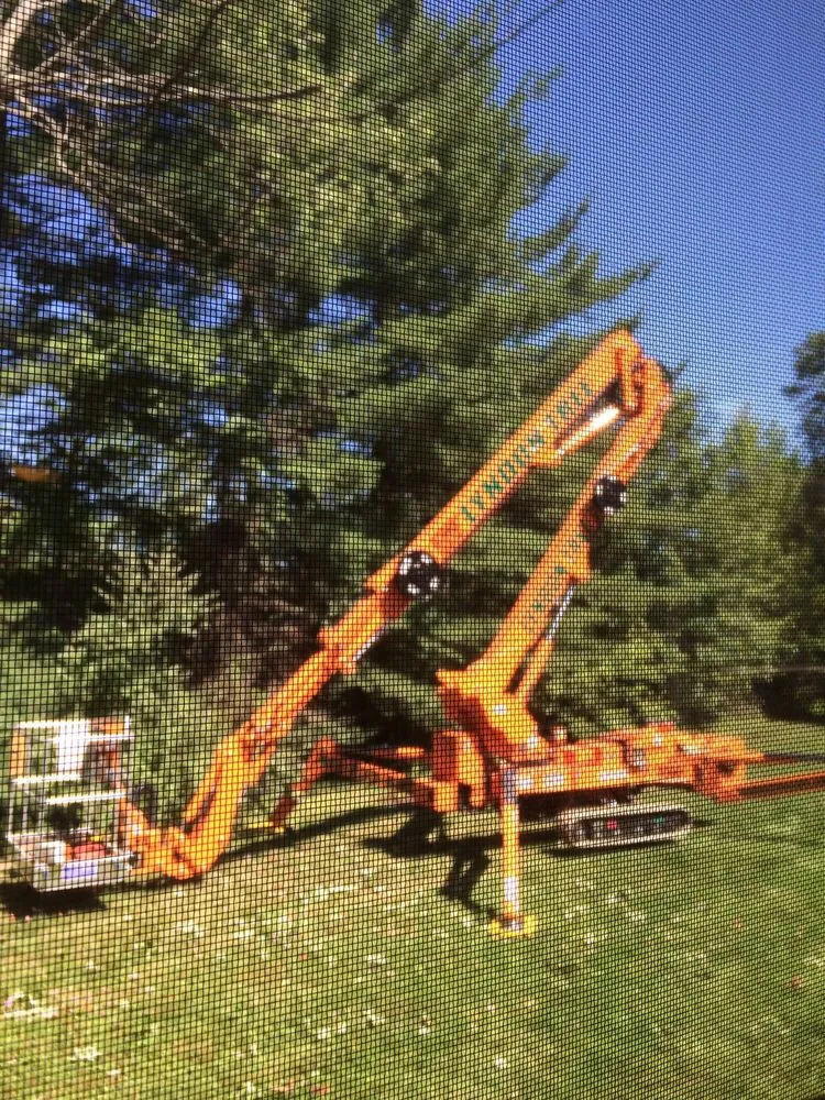 Affordable outdoor landscaping for homes in Hadley, MA by SavATree Hadley