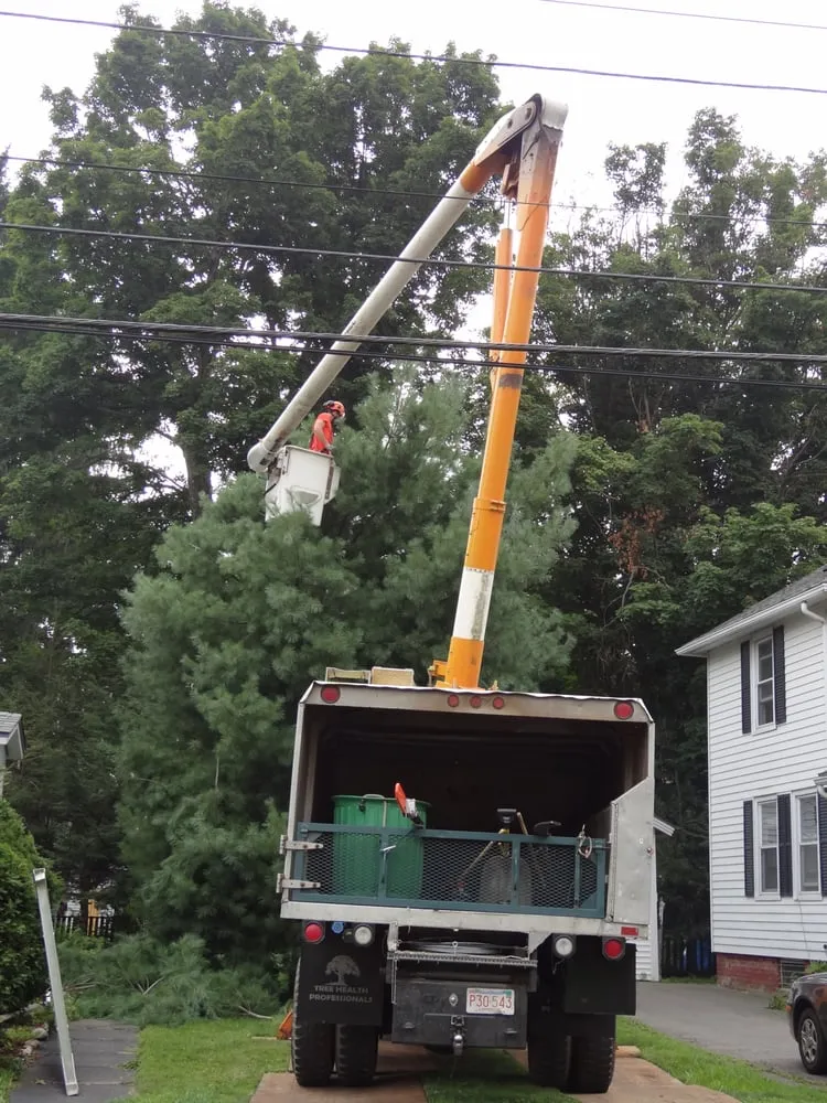 Professional residential landscaping for residential properties across Hadley, MA - SavATree Hadley