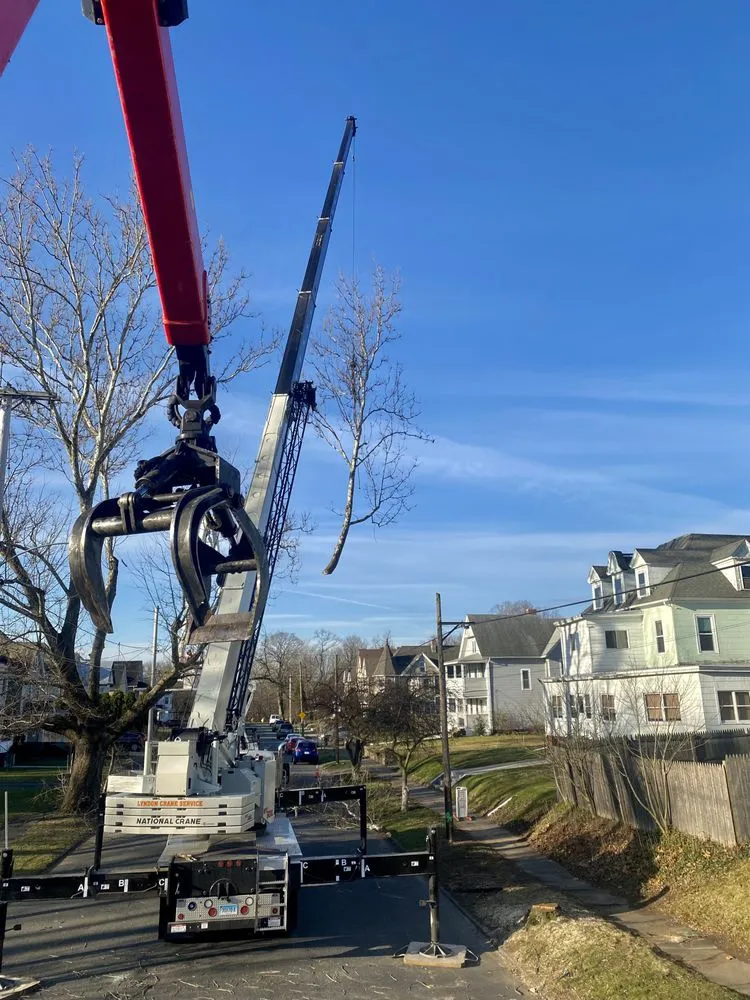 Custom outdoor landscaping experts serving Hadley, MA - SavATree Hadley