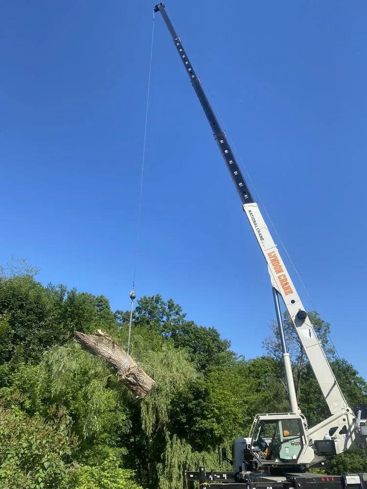 Expert lawn care service with custom design across Hadley, MA - SavATree Hadley