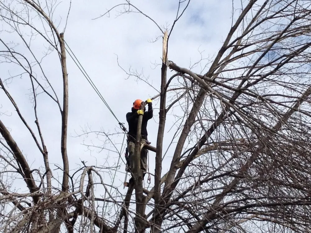 Local garden landscaping in Hadley, MA - SavATree Hadley