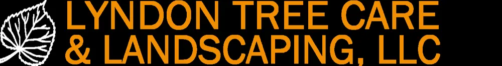 Custom yard cleanup service in Hadley, MA - SavATree Hadley