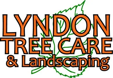 Top-rated landscape design experts serving Hadley, MA - SavATree Hadley