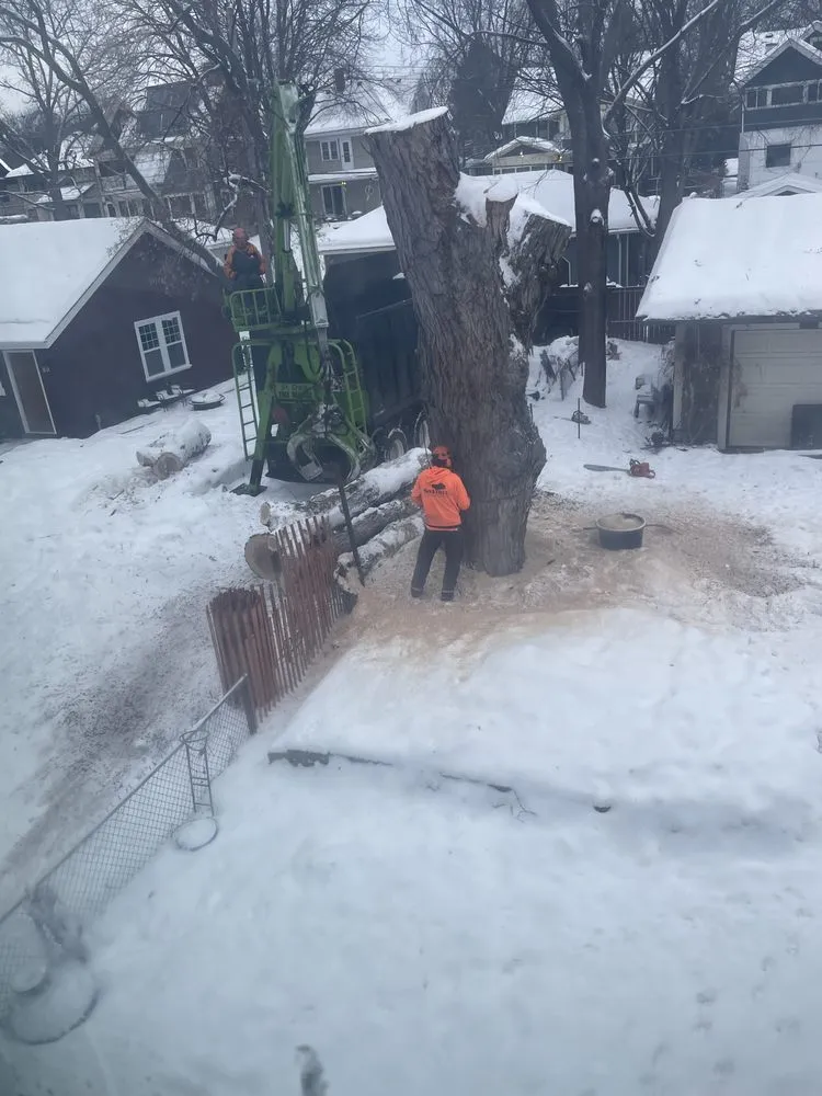 Custom lawn mowing service experts serving Hopkins, MN - SavATree Hopkins