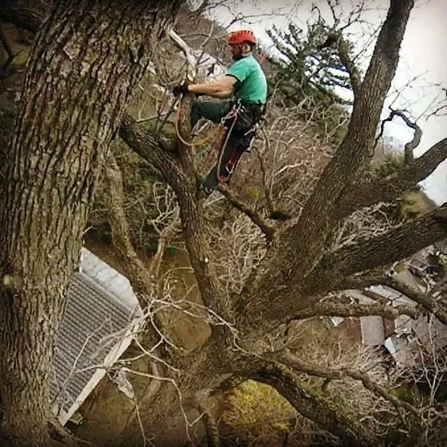 Custom landscaping services in Huntingdon Valley, PA - SavATree Huntingdon Valley