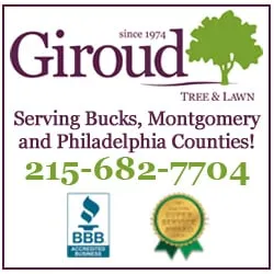 Top-rated lawn care service for year-round maintenance across Huntingdon Valley, PA - SavATree Huntingdon Valley