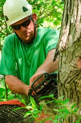 SavATree Huntingdon Valley Logo