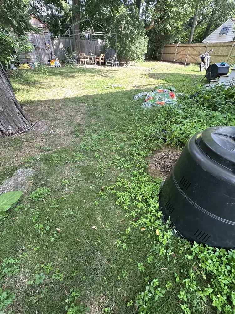 Top-rated yard maintenance for outdoor upgrades in Lincoln, MA by SavATree Lincoln