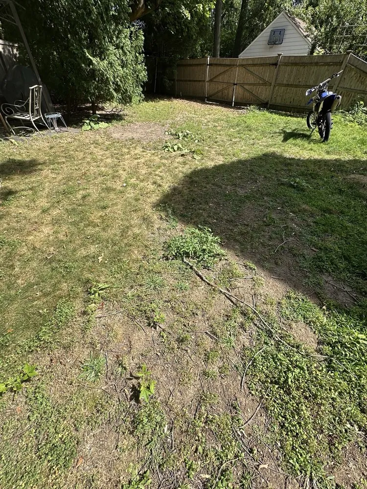 Top-rated garden landscaping for beautiful yards in Lincoln, MA by SavATree Lincoln