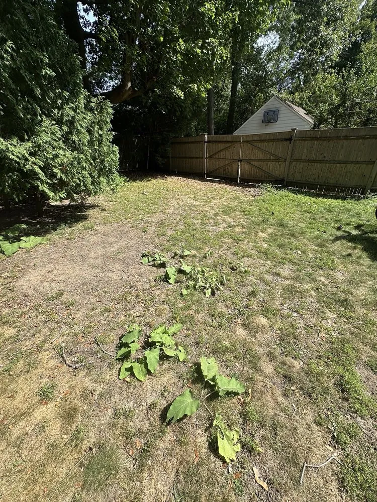 Custom outdoor landscaping experts serving Lincoln, MA - SavATree Lincoln