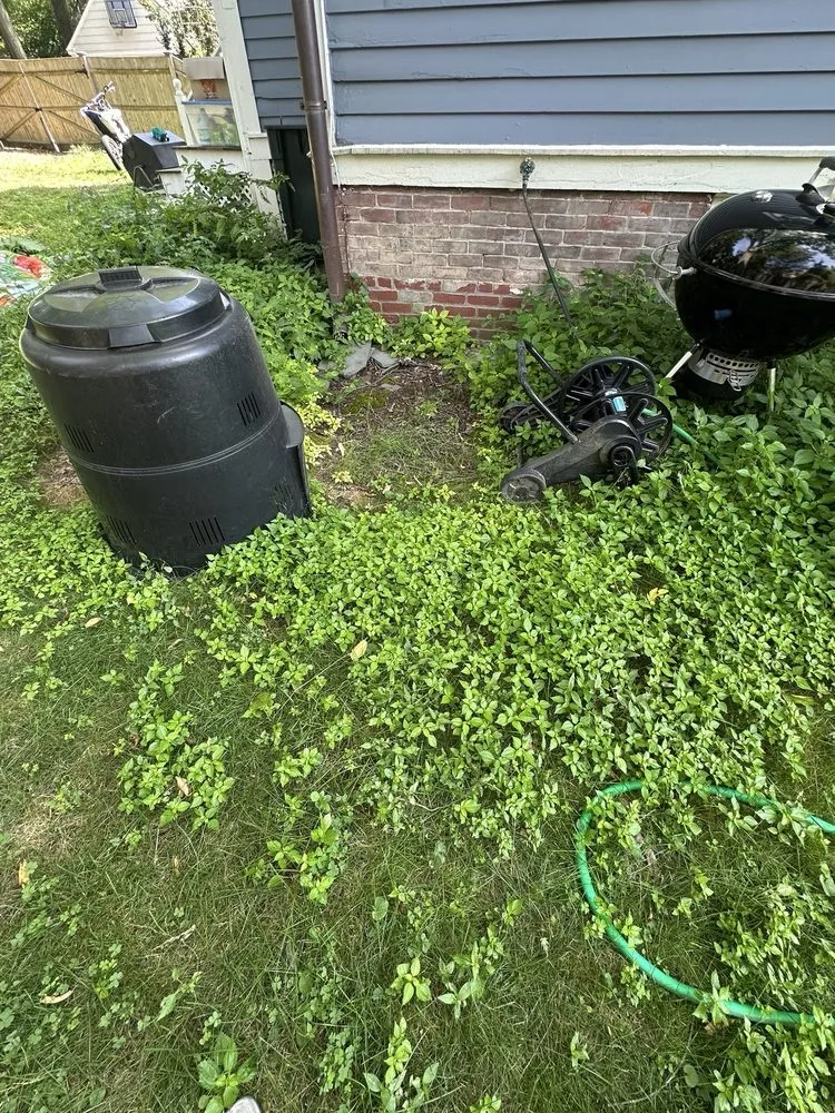 Affordable garden landscaping experts serving Lincoln, MA - SavATree Lincoln