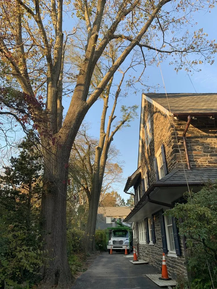 Top-rated landscaping services in Conshohocken, PA by SavATree Mainline