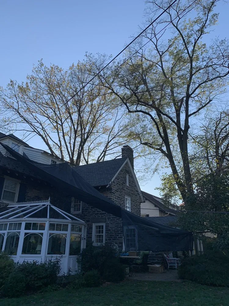 Custom landscaping services in Conshohocken, PA by SavATree Mainline