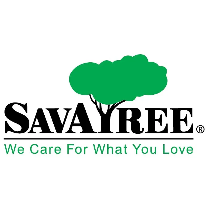 Local landscape installation in Mamaroneck, NY - SavATree Mamaroneck