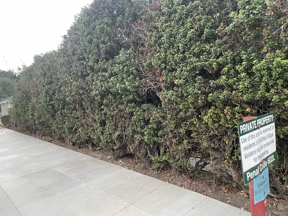 Trusted garden landscaping in Martinez, CA by SavATree