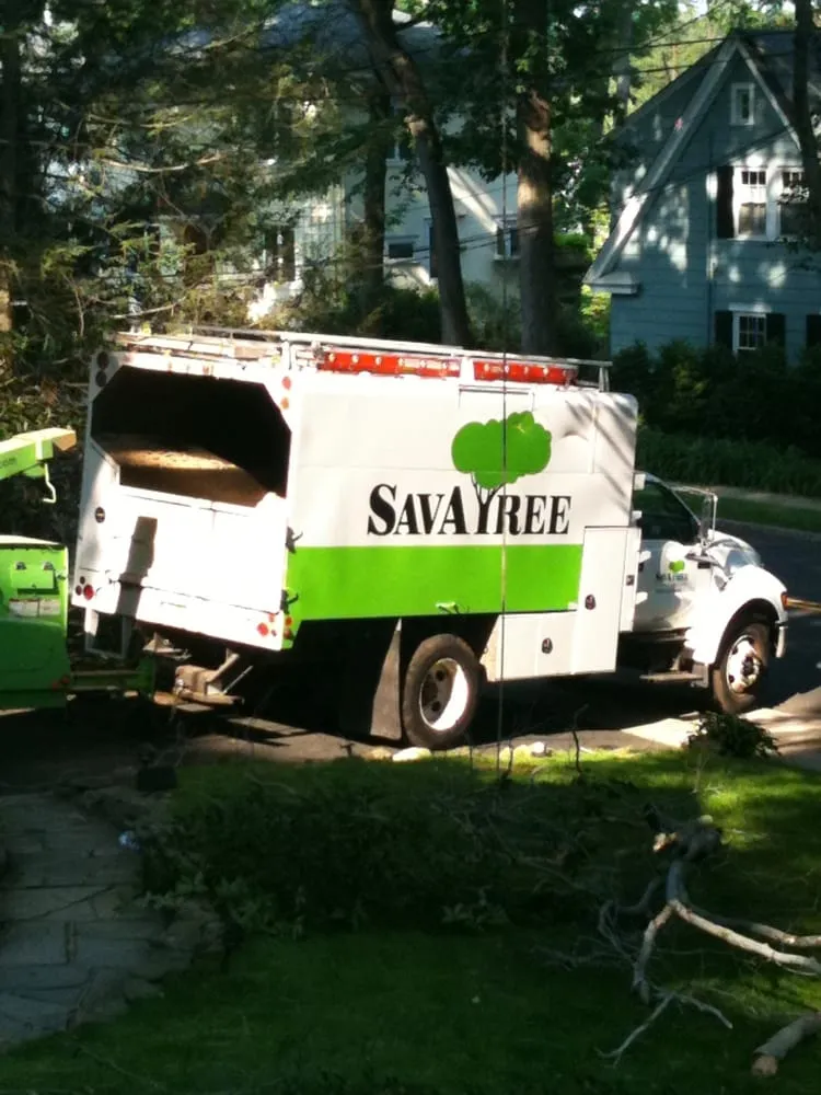 Trusted landscape design in Mountainside, NJ - SavATree Mountainside