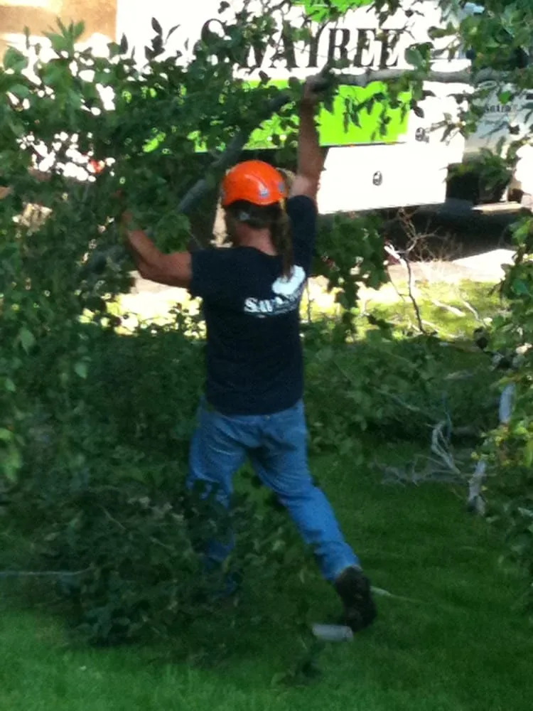 Trusted landscaping services in Mountainside, NJ - SavATree Mountainside