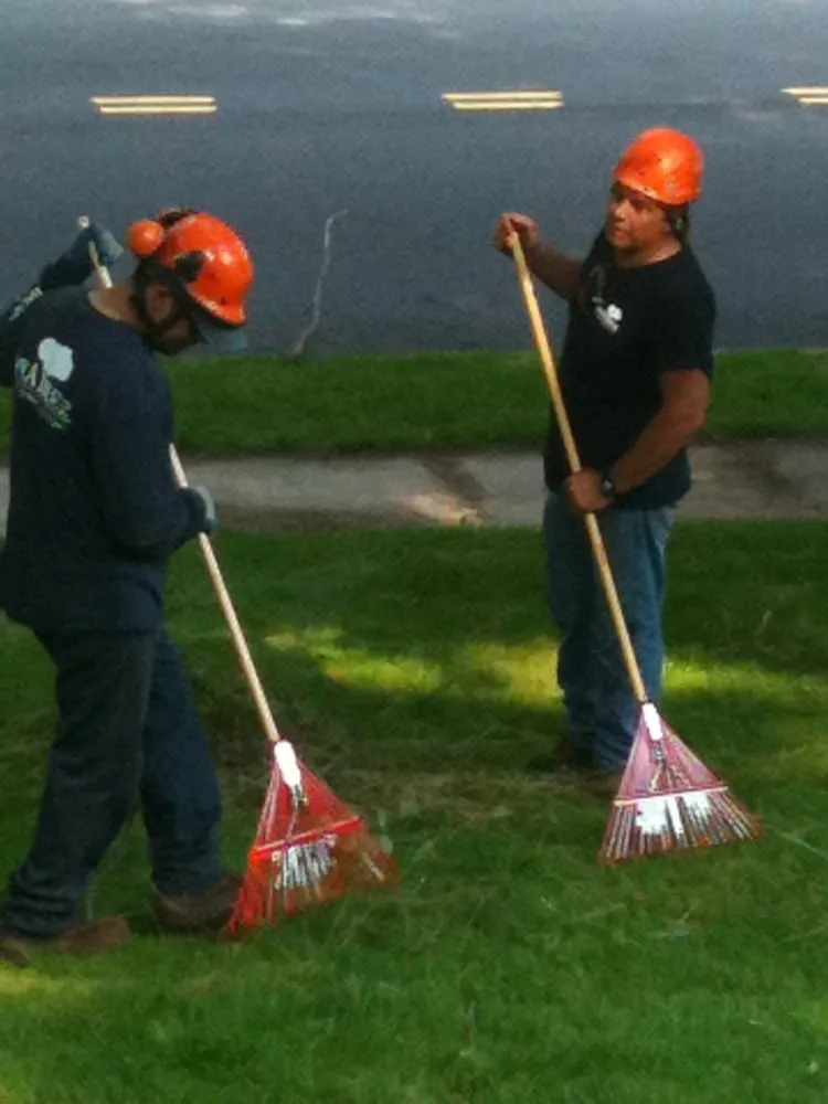 Reliable lawn mowing service for homes in Mountainside, NJ by SavATree Mountainside