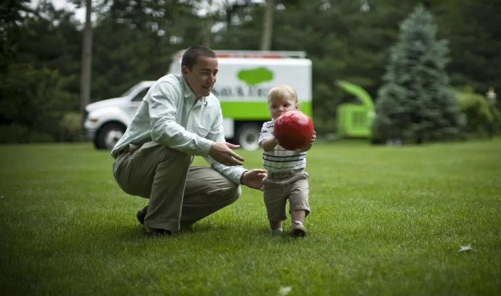 Professional lawn care service experts serving New Milford, CT - SavATree New Milford
