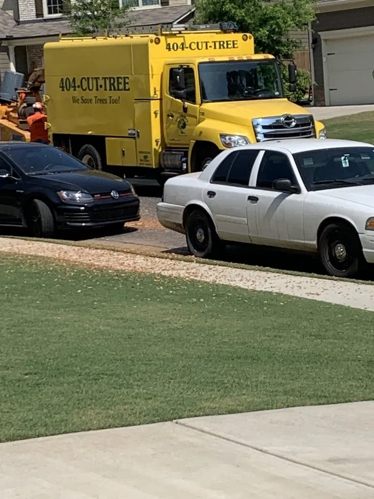 Top-rated yard maintenance in Norcross, GA - SavATree Norcross