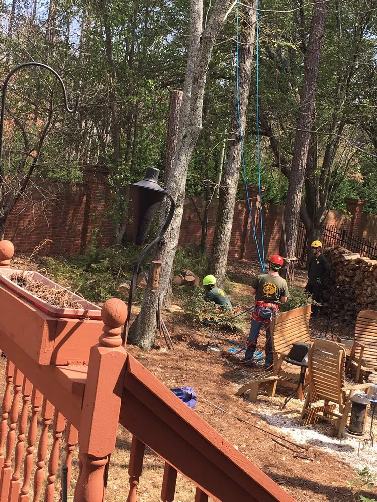 Custom outdoor landscaping in Norcross, GA - SavATree Norcross