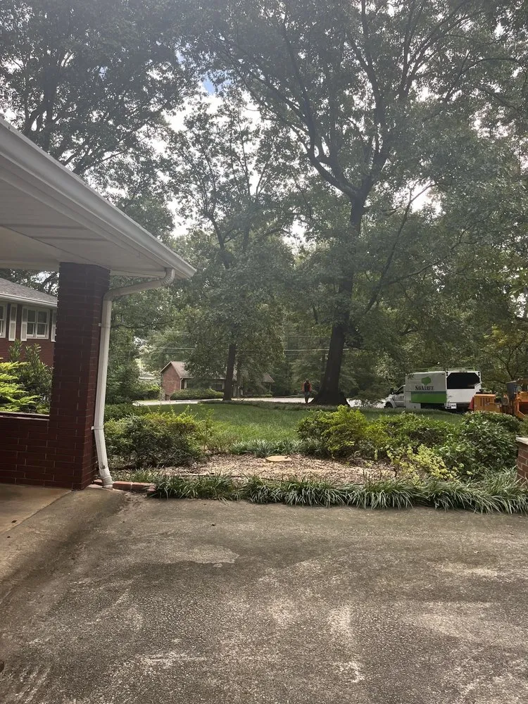 Professional lawn care service in Norcross, GA - SavATree Norcross