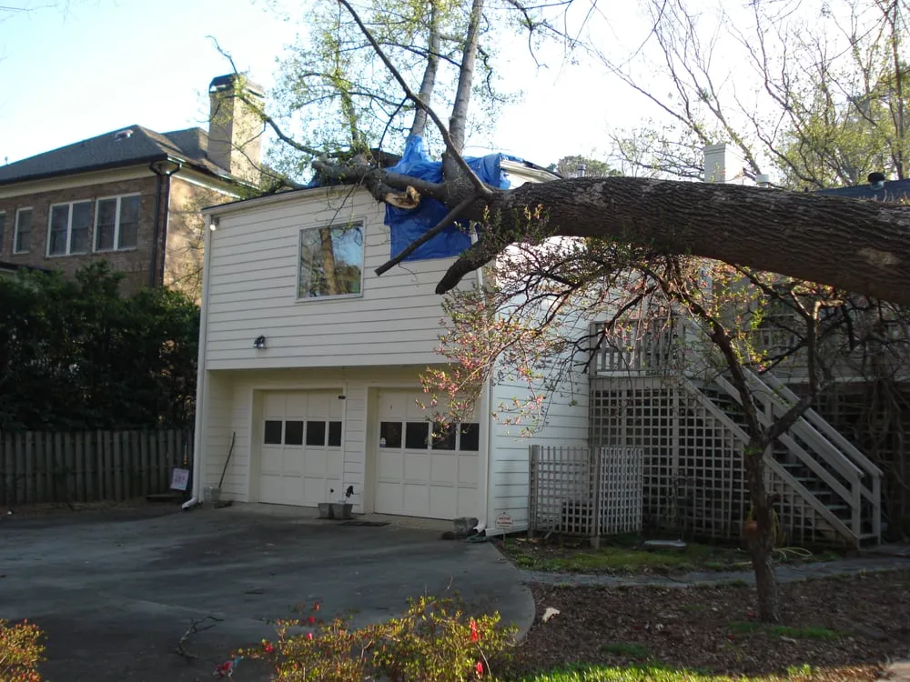 Custom residential landscaping for beautiful yards across Norcross, GA - SavATree Norcross