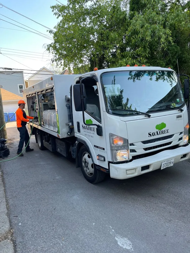 Reliable landscape installation for year-round maintenance in Northbrook, IL by SavATree Northbrook