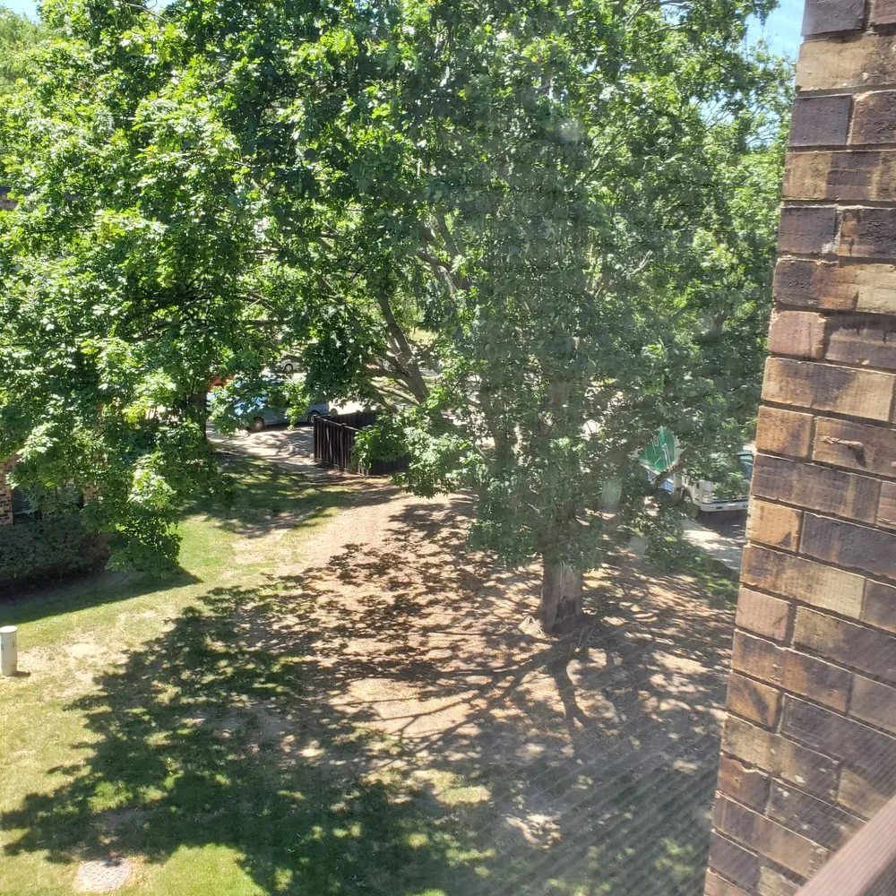 Reliable landscape installation near you across Northbrook, IL - SavATree Northbrook