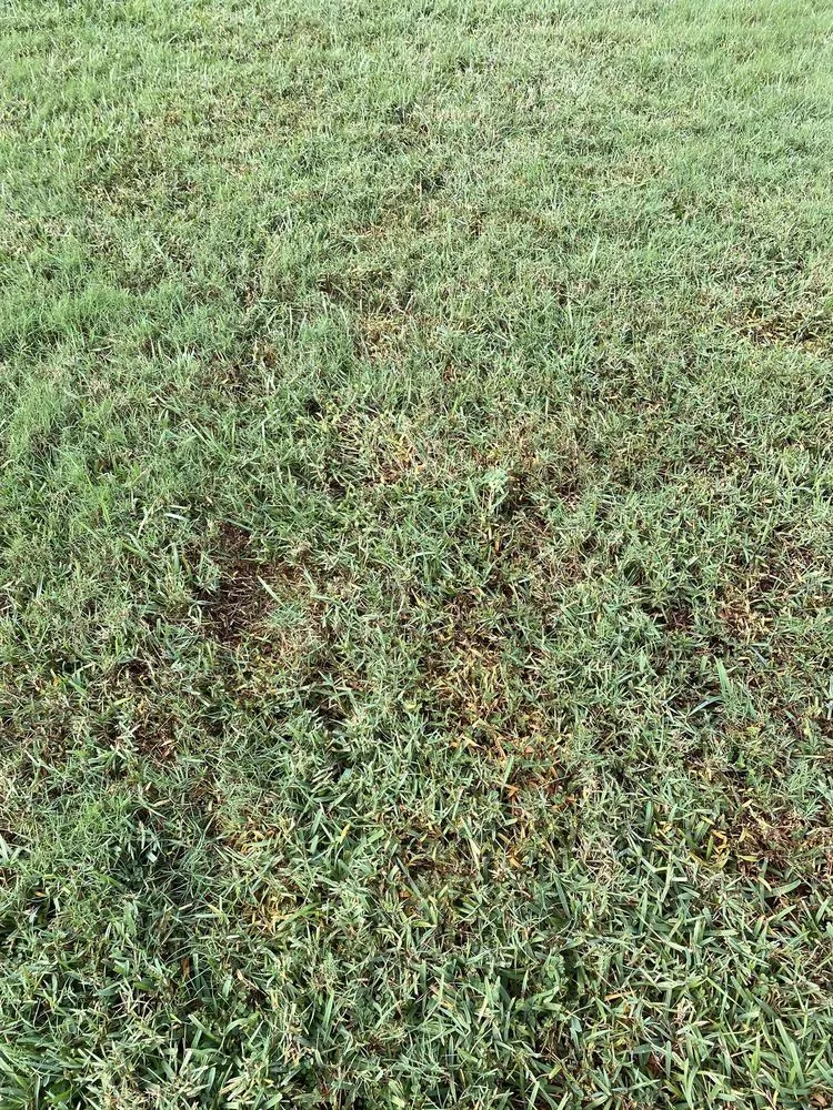 Professional garden landscaping with custom design in Northbrook, IL by SavATree Northbrook