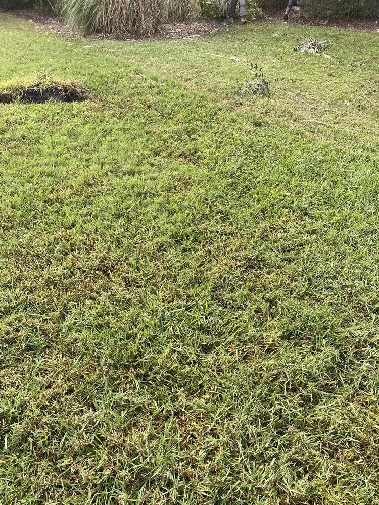 Affordable landscape installation experts serving Northbrook, IL - SavATree Northbrook