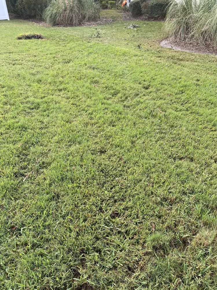 Expert garden landscaping in Northbrook, IL by SavATree Northbrook