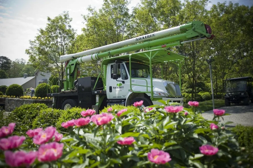 Affordable garden landscaping experts serving Norwalk, CT - SavATree Norwalk