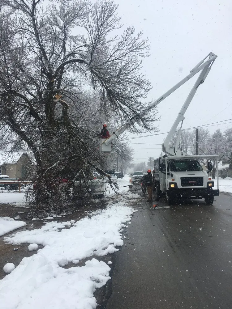 Professional yard maintenance for year-round maintenance across Park City, UT - SavATree Park City
